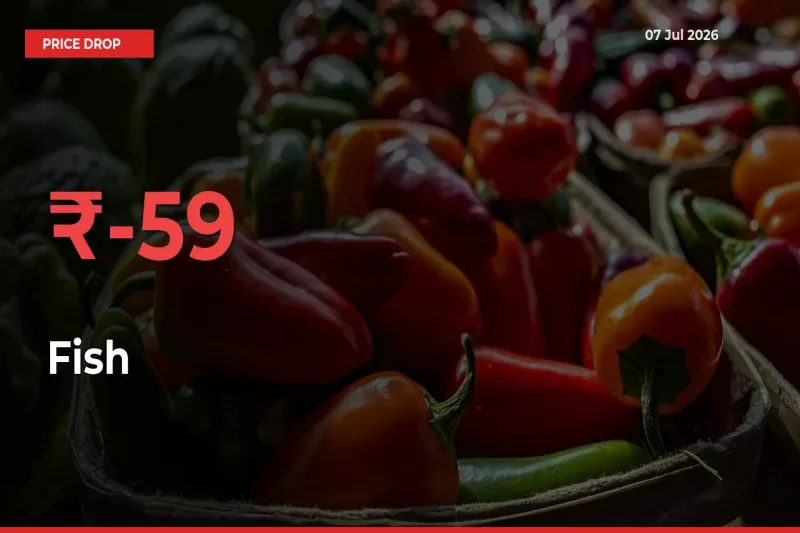 This Mandi Records 58.73% Fall in Fish Prices