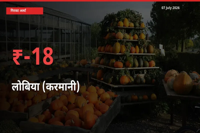 आज का मंडी भाव: लोबिया (करमानी) के दाम मंडी में 18.38% नीचे