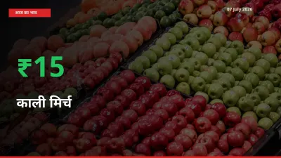 काली मिर्च 15.15% उछला, मंडी