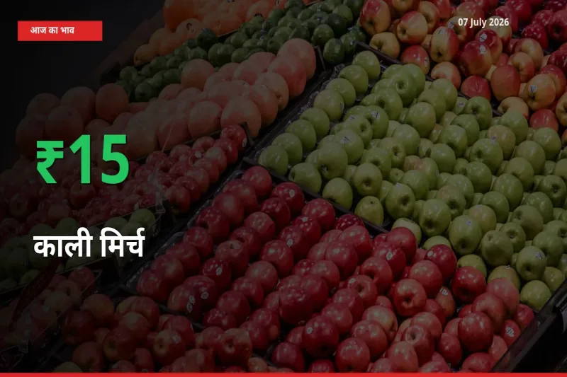 काली मिर्च 15.15% उछला, मंडी
