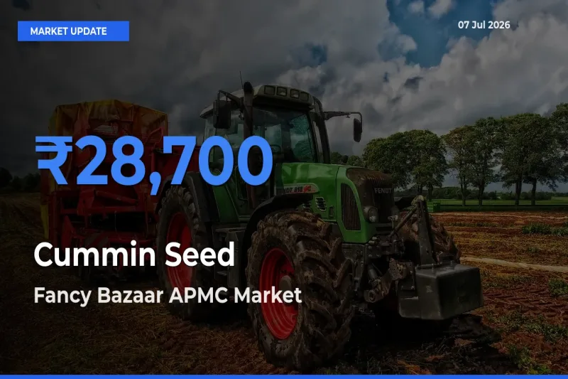 Fancy Bazaar APMC Records Highest ₹28,700 Rate for Cummin Seed