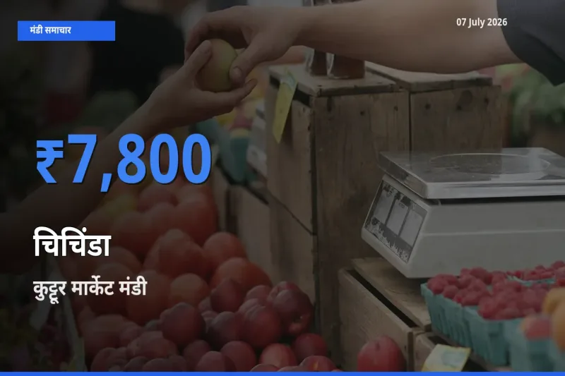 किसानों की पसंद बना कुट्टूर मार्केट, चिचिंडा के सबसे अच्छे दाम