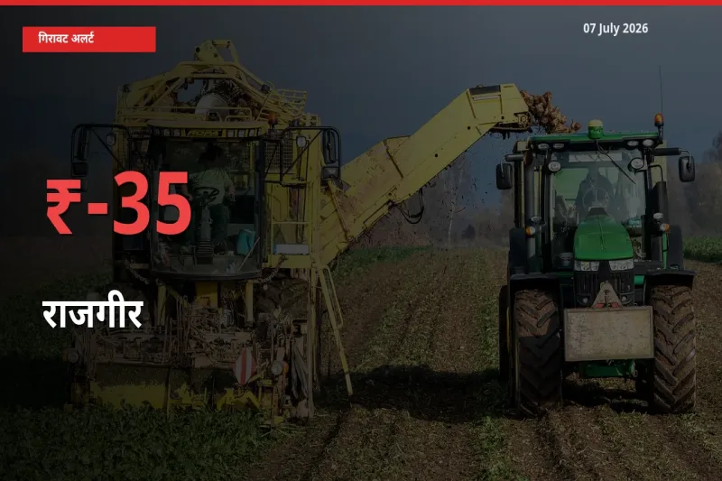 बाज़ार संकेत: राजगीर के भाव मंडी में 34.82% नीचे