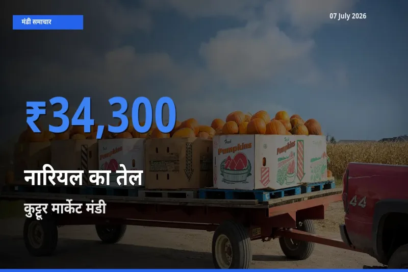 07 July अपडेट: नारियल का तेल के सबसे ऊँचे दाम कुट्टूर मार्केट मंडी में