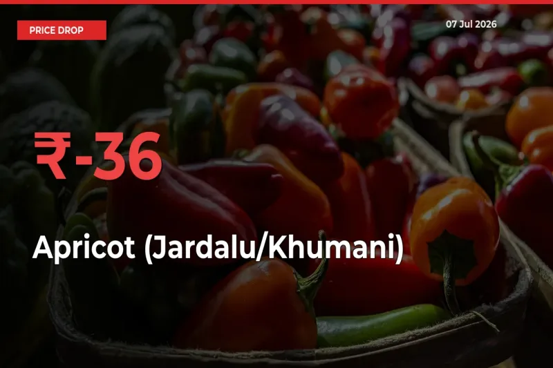 Apricot (Jardalu/Khumani) Mandi Rate Today: Prices Fall 36.45% at Market