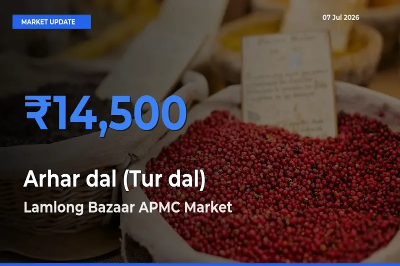 Lamlong Bazaar APMC Tops Arhar dal (Tur dal) Rates – July 07 Market Update