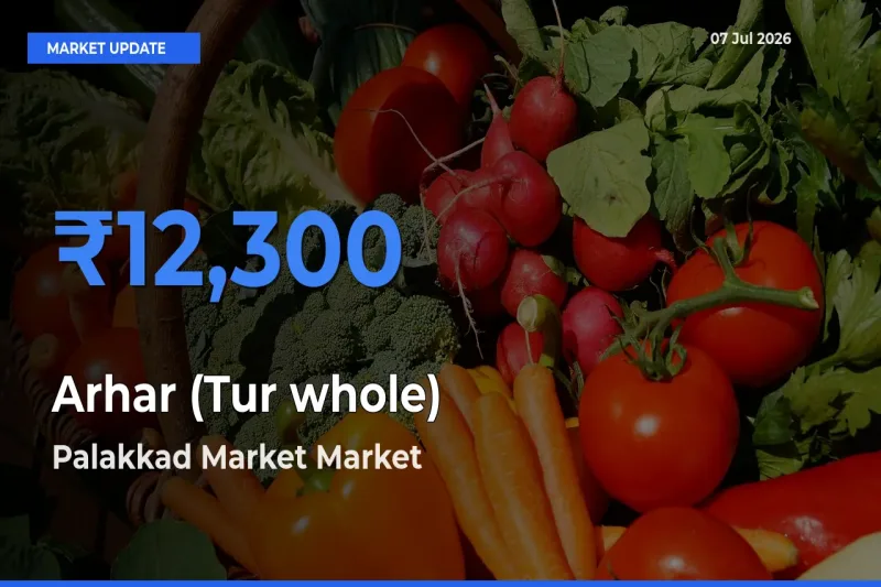Palakkad Market Offers ₹12,300 – Highest Arhar (Tur whole) Rate Today
