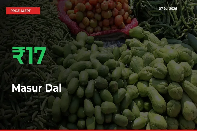 Big Rally! Masur Dal Climbs 16.95% in 24 Hours at Top Mandis