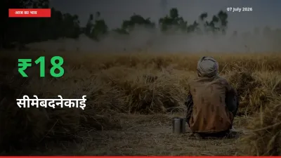 स्थानीय मंडी में सीमेबदनेकाई के दाम अचानक 18.29% उछले, किसान सतर्क