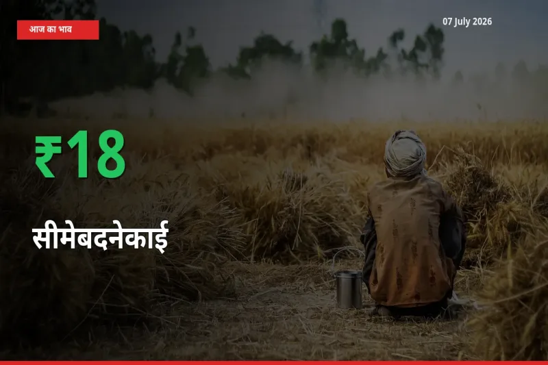स्थानीय मंडी में सीमेबदनेकाई के दाम अचानक 18.29% उछले, किसान सतर्क