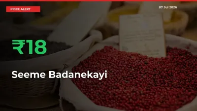 Why Seeme Badanekayi Prices Rose 18.29% in a Day at Mandis