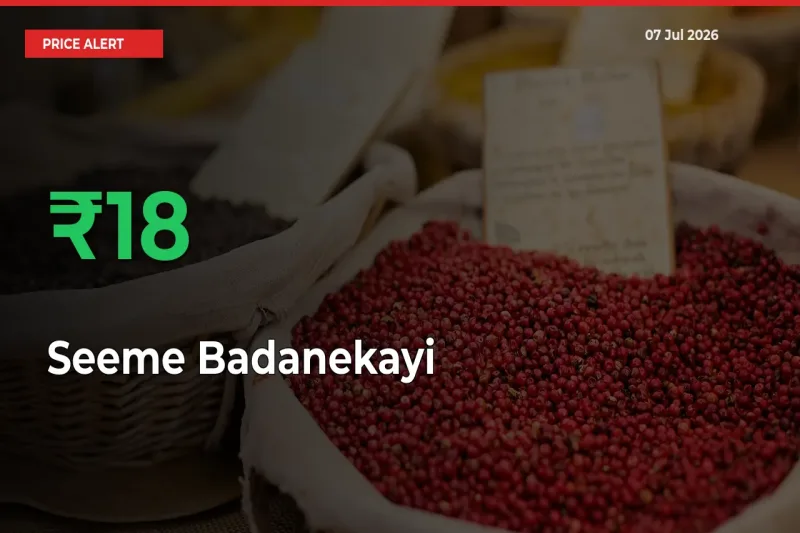 Why Seeme Badanekayi Prices Rose 18.29% in a Day at Mandis