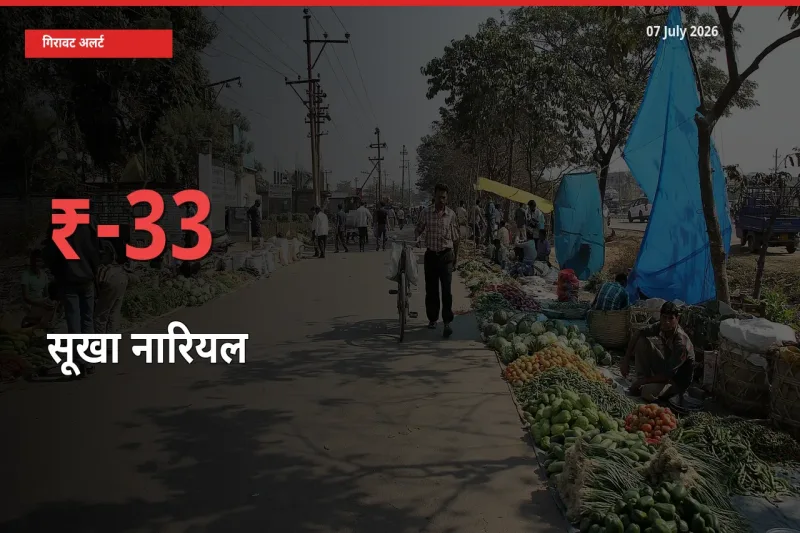 07 July अपडेट: सूखा नारियल के दाम मंडी में 32.82% गिरे