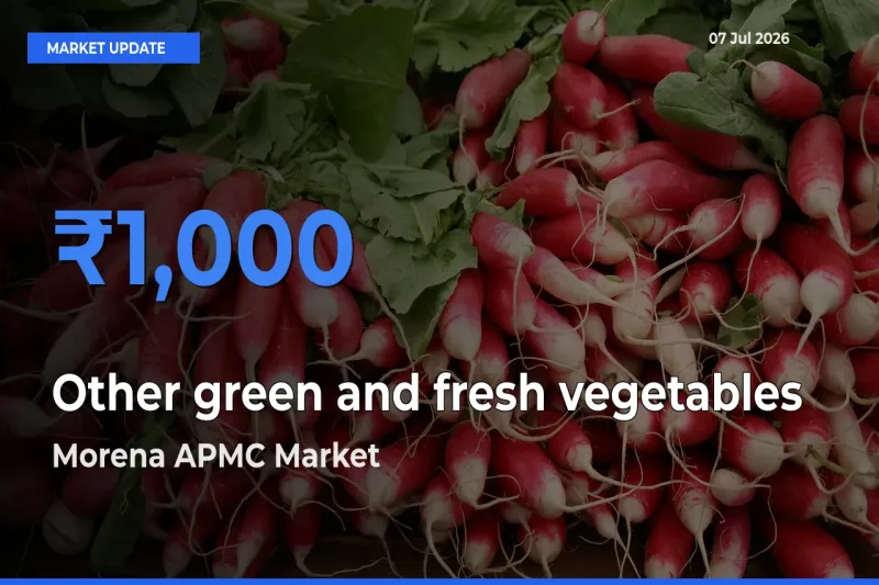 Morena APMC Emerges as Top Mandi for Other green and fresh vegetables Prices Today