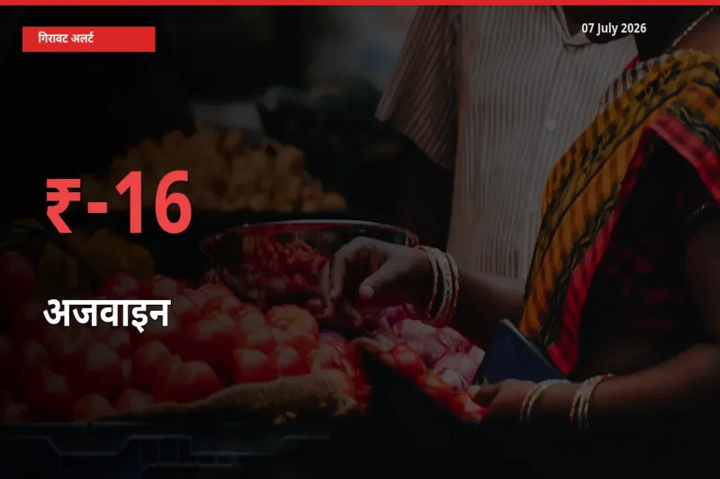 07 July अपडेट: अजवाइन के दाम मंडी में 15.61% गिरे