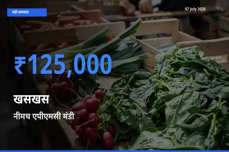 आज का मंडी भाव: खसखस के सबसे ज़्यादा दाम नीमच एपीएमसी में