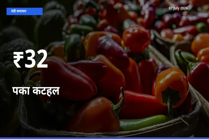 कई मंडियों में पका कटहल के भाव बदले – बाज़ार में बड़ा संकेत
