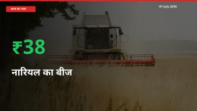नारियल का बीज के दाम प्रमुख मंडी में 37.63% बढ़े, 24 घंटे में बड़ा बदलाव