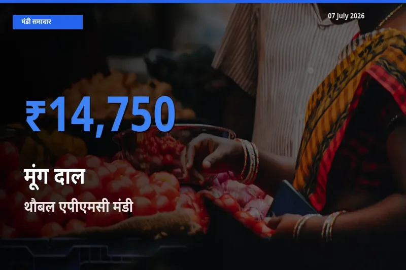 टॉप मंडी बना थौबल एपीएमसी! मूंग दाल के सबसे ऊँचे दाम यहीं दर्ज