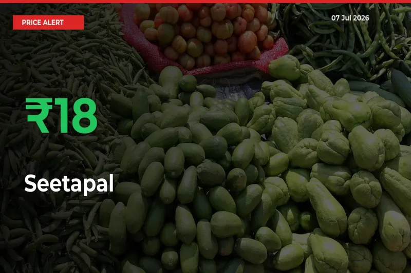 Big Rally! Seetapal Climbs 17.89% in 24 Hours at Top Mandis