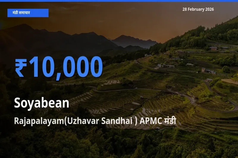Rajapalayam(Uzhavar Sandhai ) APMC मंडी में Soyabean ₹10,000 पर पहुँचा – आज का सर्वोच्च भाव