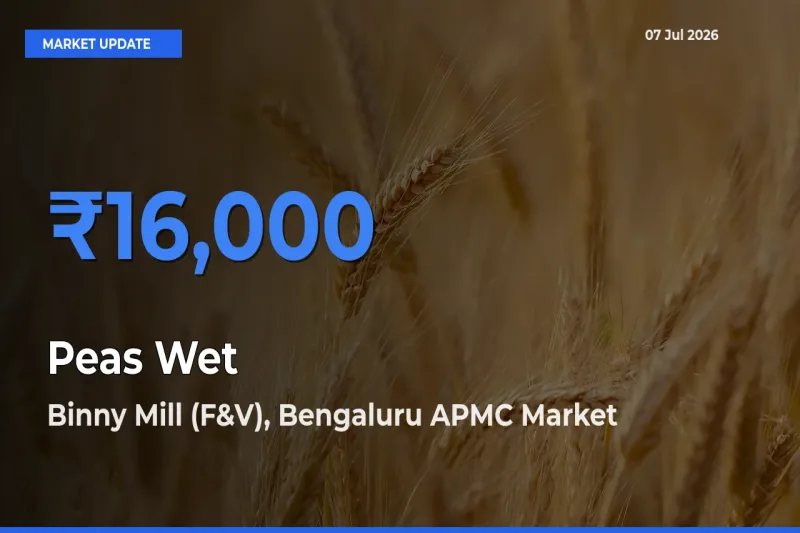Market Watch: Binny Mill (F&V), Bengaluru APMC Becomes Top Mandi for Peas Wet