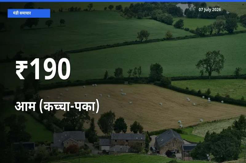 आम (कच्चा-पका) के दाम 190+ मंडियों में बदले, बाज़ार का रुझान स्पष्ट