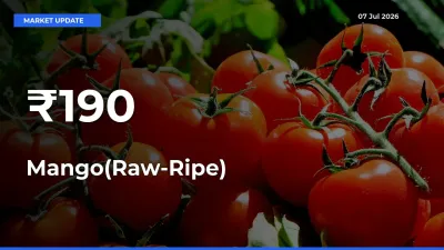 Mango(Raw-Ripe) Prices Gain Momentum Across 190+ Mandis – Market Trend Strengthens