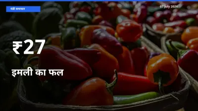 कई मंडियों में इमली का फल के भाव बदले – बाज़ार में बड़ा संकेत