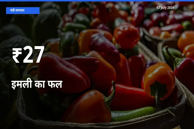 कई मंडियों में इमली का फल के भाव बदले – बाज़ार में बड़ा संकेत