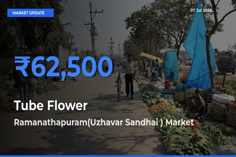 Ramanathapuram(Uzhavar Sandhai ) Leads as Top Mandi for Tube Flower Prices