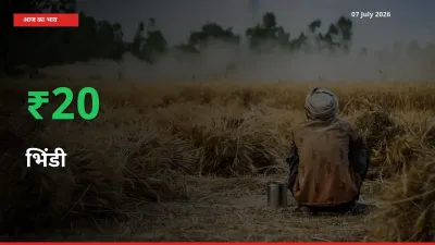 किसानों के लिए खुशखबरी! स्थानीय मंडी में भिंडी 20.37% उछला