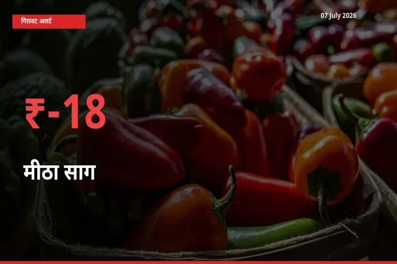 मीठा साग 18.2% गिरा, मंडी