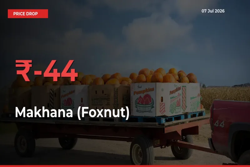 Makhana (Foxnut) Falls 44.27% at Mandis