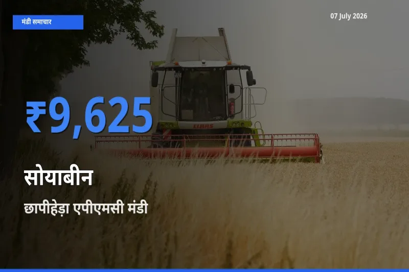 07 July अपडेट: सोयाबीन के सबसे ऊँचे दाम छापीहेड़ा एपीएमसी मंडी में