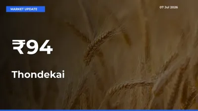 Thondekai Mandi Prices Move in Sync Across Major Markets Today