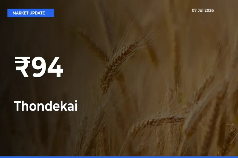 Thondekai Mandi Prices Move in Sync Across Major Markets Today