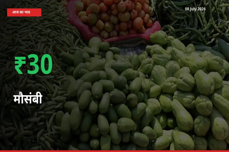 आज का मंडी भाव: मौसंबी के दाम मंडी में 29.53% ऊपर