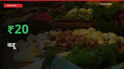 तेज़ तेजी! मंडी में कद्दू के दाम 20.2% चढ़े