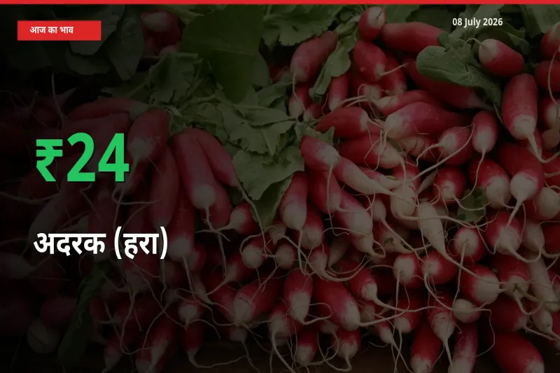 किसानों के लिए खुशखबरी! स्थानीय मंडी में अदरक (हरा) 23.91% उछला