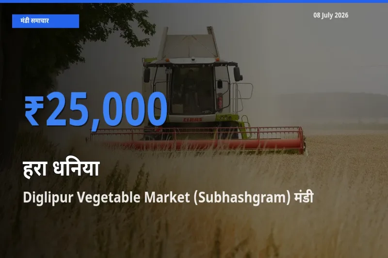 आज का मंडी भाव: हरा धनिया के सबसे ज़्यादा दाम Diglipur Vegetable Market (Subhashgram) में