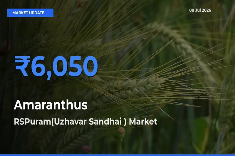 RSPuram(Uzhavar Sandhai ) Tops Amaranthus Mandi Rates Today