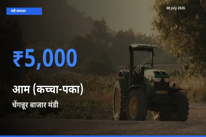 आज आम (कच्चा-पका) के सबसे ज़्यादा दाम चेंगन्नूर बाजार मंडी में दर्ज