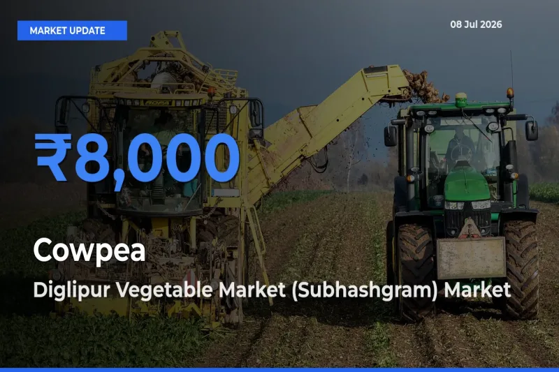 Diglipur Vegetable Market (Subhashgram) Tops Cowpea Rates – July 08 Market Update