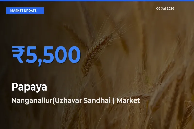 Farmers Prefer Nanganallur(Uzhavar Sandhai ) as Papaya Hits Highest Rate