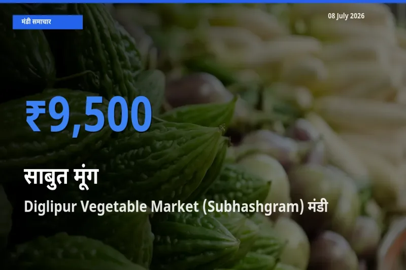 Diglipur Vegetable Market (Subhashgram) मंडी में आज साबुत मूंग के सबसे ऊँचे दाम दर्ज