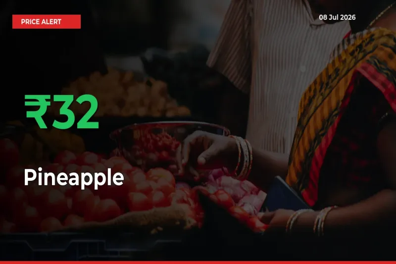 Why Pineapple Prices Rose 32.19% in a Day at Mandis