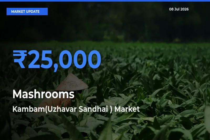 Kambam(Uzhavar Sandhai ) Tops Mashrooms Mandi Rates Today