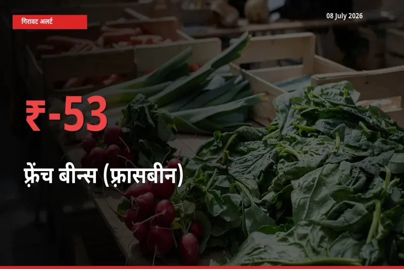 बाज़ार संकेत: फ़्रेंच बीन्स (फ़्रासबीन) के भाव मंडी में 53.3% नीचे