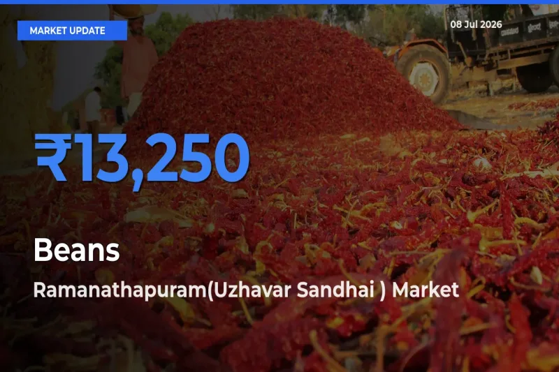 Farmers Prefer Ramanathapuram(Uzhavar Sandhai ) as Beans Hits Highest Rate